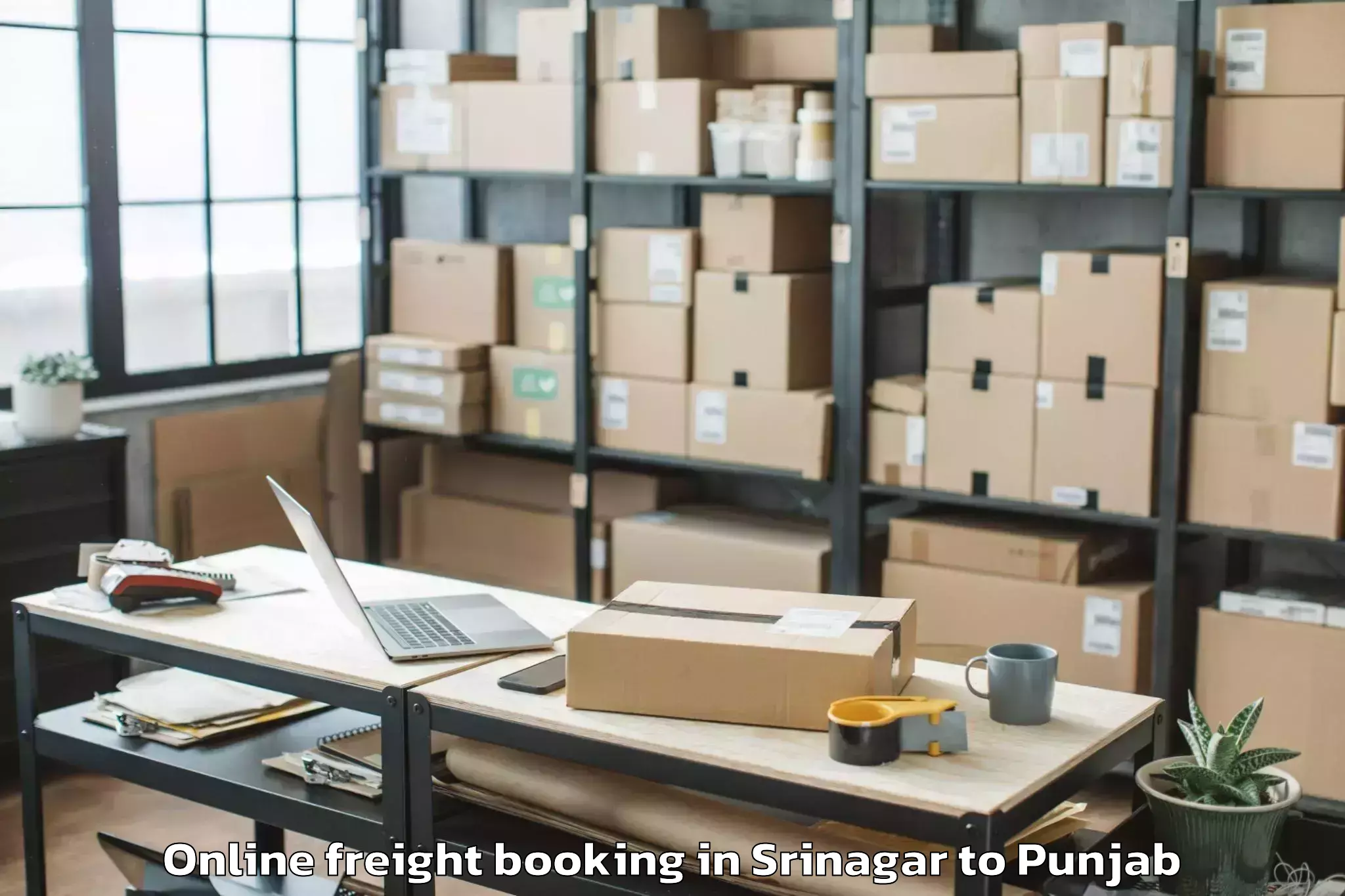 Leading Srinagar to Gna University Phagwara Online Freight Booking Provider